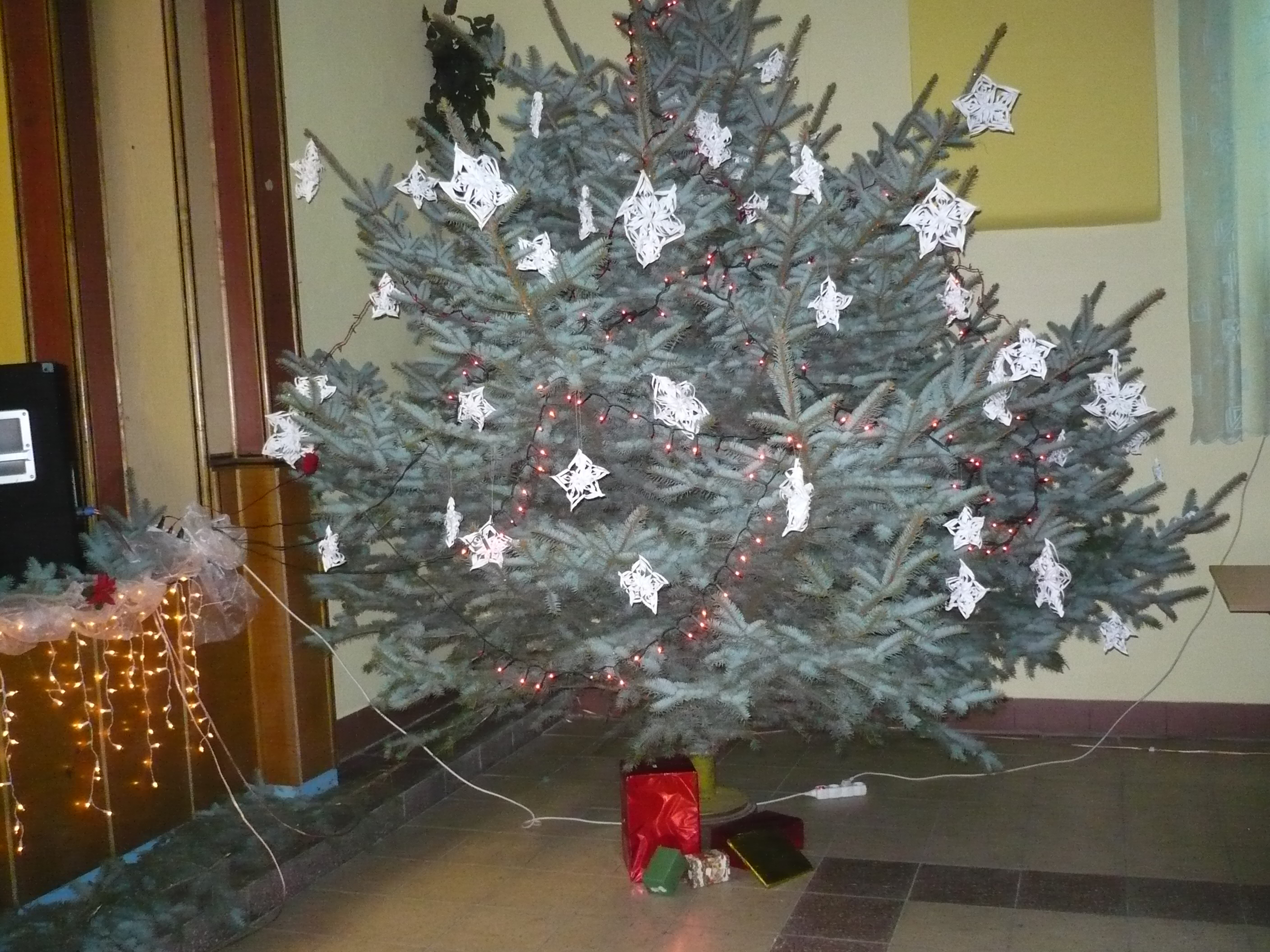 P1000795